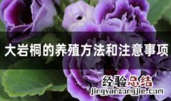 大岩桐的养殖方法 大岩桐的养殖方法和注意事项