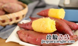 室内种红薯叶 阳台种红薯叶的方法