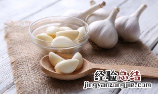 阳台种蒜的方法 阳台种蒜的方法 和步骤