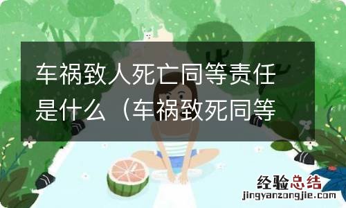 车祸致死同等责任是刑事责任 车祸致人死亡同等责任是什么