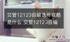 交管12123自编选号攻略是什么 交管12123自编选号怎么编