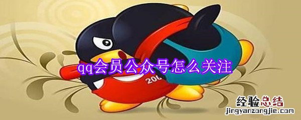 qq会员公众号怎么关注