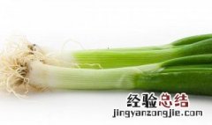 大葱怎么种植 大葱怎么种植呢