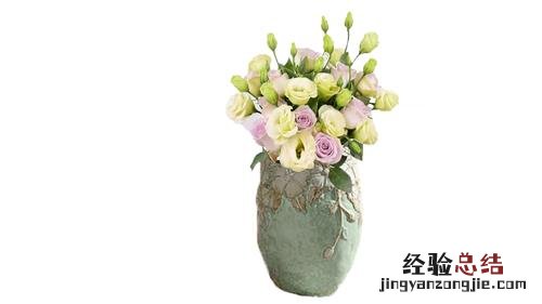 金边瑞香如何延长花期