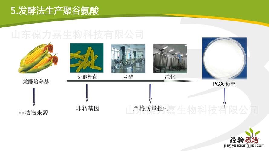 磷酸二酯键和氢键区别