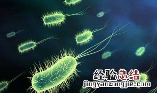 甲烷菌是什么生物 甲烷菌是什么