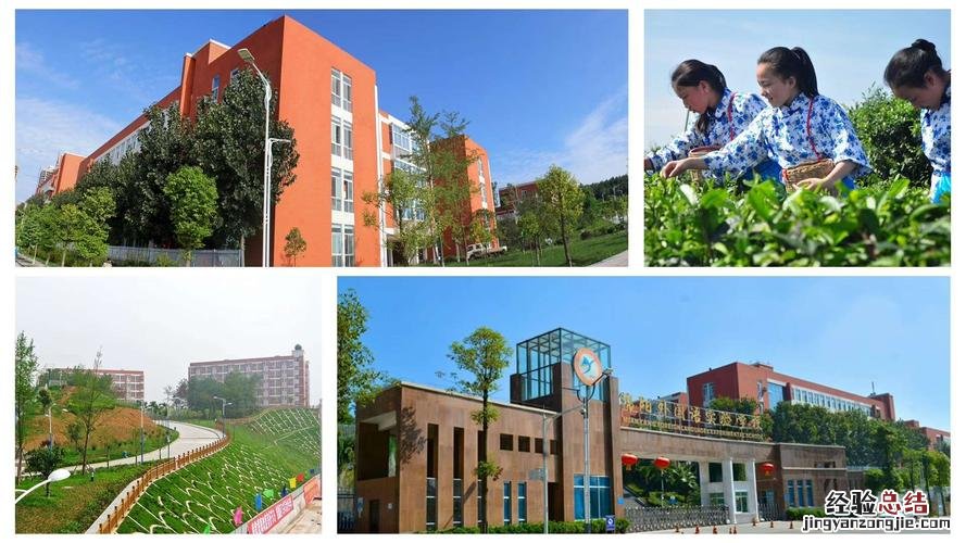 全国各地有什么外国语学院