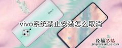 vivo系统禁止安装怎么取消