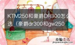 豪爵dr300和gw250哪个好 KTM250和豪爵DR300怎么选