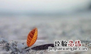 爱情中最心酸的一句话 心酸爱情语录