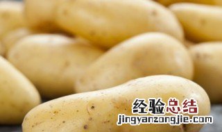 马铃薯种植方法 怎么种植马铃薯