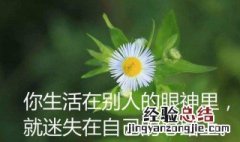 每日感悟一句话 关于每日感悟简短的一句话