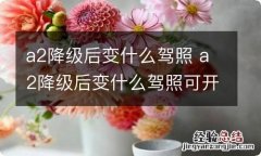 a2降级后变什么驾照 a2降级后变什么驾照可开什么车要考试吗