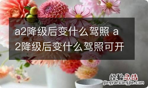 a2降级后变什么驾照 a2降级后变什么驾照可开什么车要考试吗