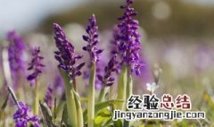 教师节祝福语简短精选 关于教师节祝福语简短精选内容