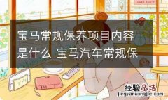 宝马常规保养项目内容是什么 宝马汽车常规保养项目有哪些