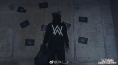 alanwalker为什么蒙面