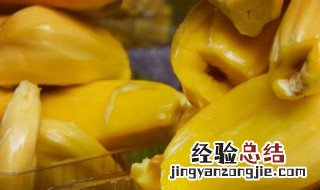 菠萝蜜核水培方法视频 菠萝蜜的核水培方法