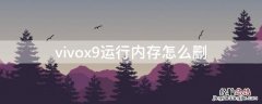 vivox9怎么清除运行内存 vivox9运行内存怎么删