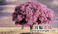 教师节送给老师的话 恩师难忘