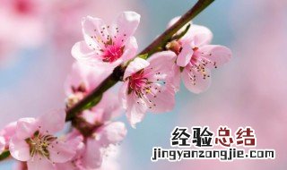 3月励志心情说说致自己 3月励志的句子致自己简短