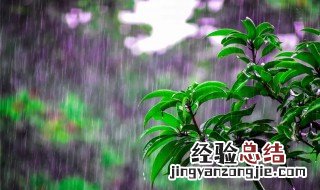 清明时节雨纷纷是什么季节 清明时节雨纷纷是哪个季节