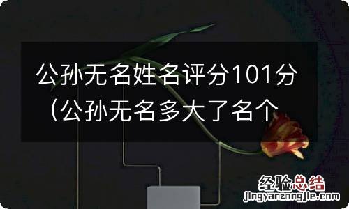 公孙无名多大了名个人资料 公孙无名姓名评分101分