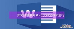 如何批量删除Word文档空格和空行