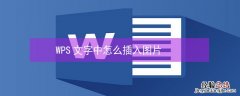 WPS文字中怎么插入图片