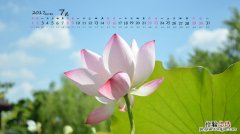 7月23日是什么日子