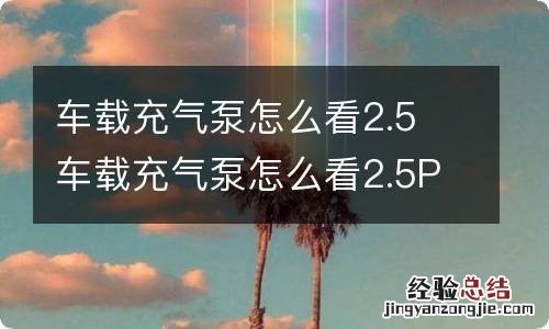 车载充气泵怎么看2.5 车载充气泵怎么看2.5Par