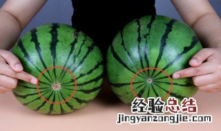 怎么挑选宁夏西瓜 怎样挑宁夏瓜