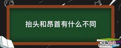 抬头和昂首有什么不同