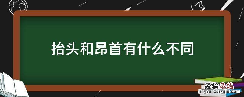 抬头和昂首有什么不同