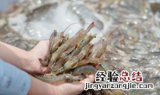 河虾冷藏方法 怎么冷藏河虾