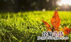 9月份的鼓励语 9月份的鼓励语推荐