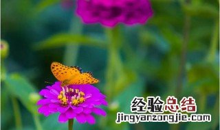 适合9月初的朋友圈 哪些句子比较好