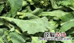 油菜苔怎么择 怎么挑选油菜苔