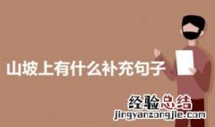 山坡上有什么补充句子(仿照例句说一说 山坡上有什么补充句子