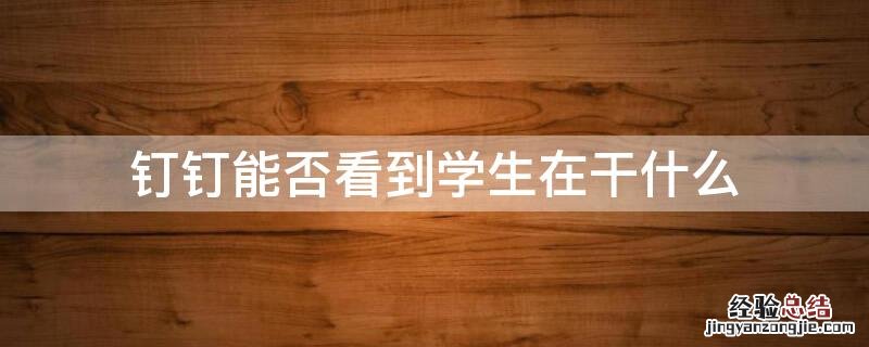 钉钉能否看到学生在干什么