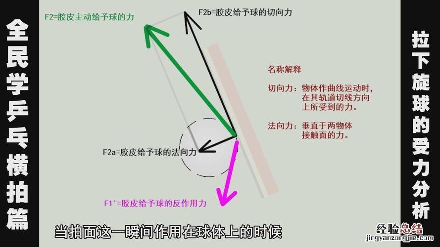 乒乓球的基本技术有哪些