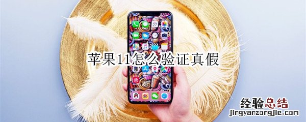 苹果11怎么验证真假