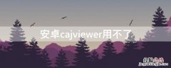 安卓cajviewer用不了