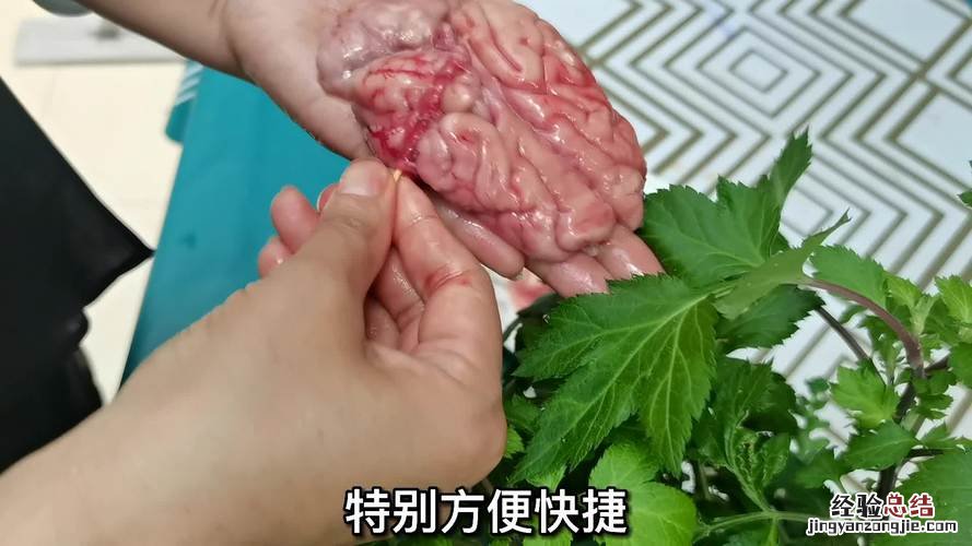 小苏打也能养花？涨姿势了