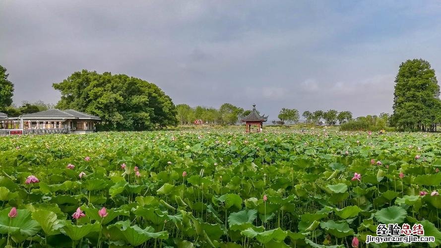 6月23日是什么日子