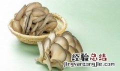 平菇搭配什么炒菜 平菇搭配什么炒