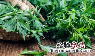 用艾叶泡脚用多少艾叶 野生艾叶泡脚用多少艾叶合适