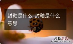 封釉是什么 封釉是什么意思