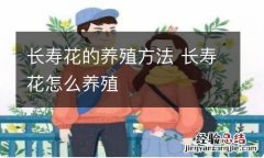 长寿花的养殖方法 长寿花怎么养殖