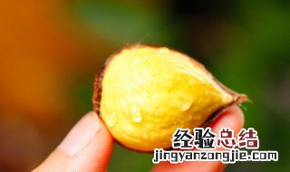 吃鸭肉隔多久可以吃板栗 吃鸭肉隔多久可以吃板栗呢